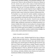 Zayi Harp Ve Darp Ülkesinde Bir Selvi - Sibel Oral