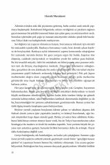 Fare Dörtlemesi Hc-Yeşil Kapak