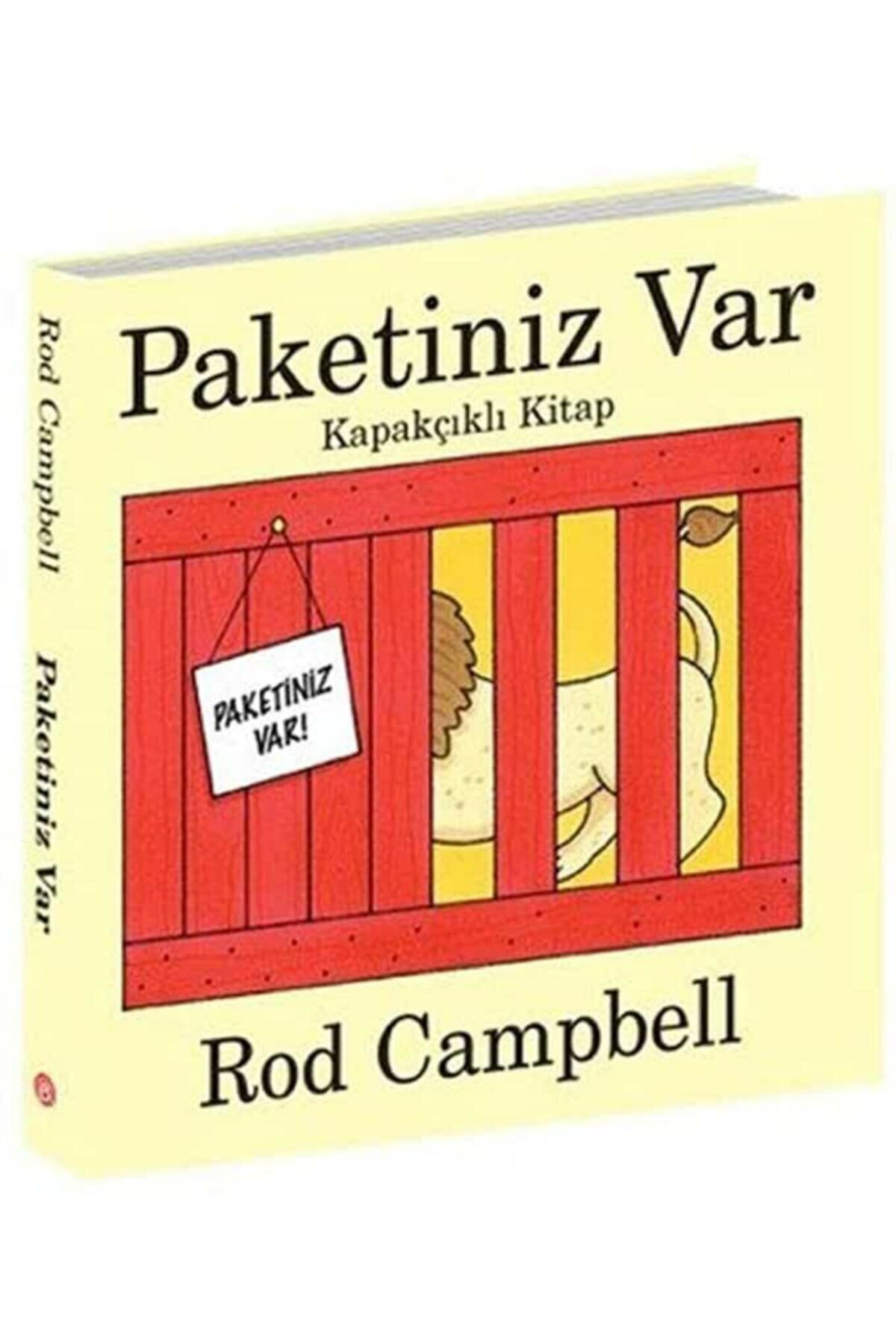 Paketiniz Var Kapakçıklı Kitap