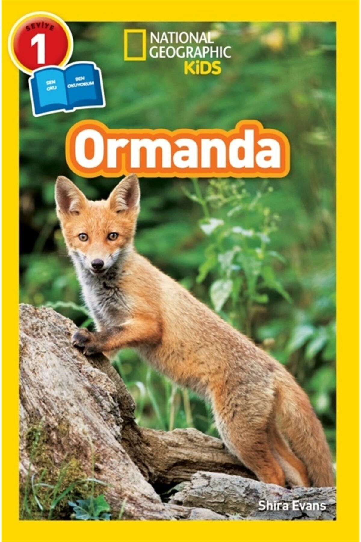 Ormanda