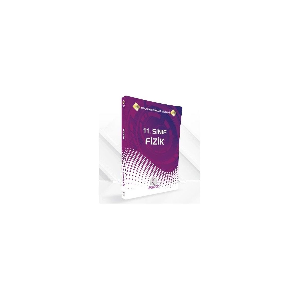 11. Sınıf Fizik MPS Konu Anlatımı ve Soru Çözümü Karekök Yayınları