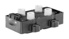 Valeo 245079 Ateşleme Bobini Clıo I Iı Iıı Kangoo Laguna Iı Twıng