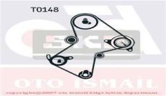 Skf Vkma06115 Triger Eksantrik Gergi Seti Clıo Kangoo Megane Lagu