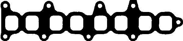 Reinz 71-53143-00 Manifolt Contası Emme Astra G Corsa C Y17Dt Y17