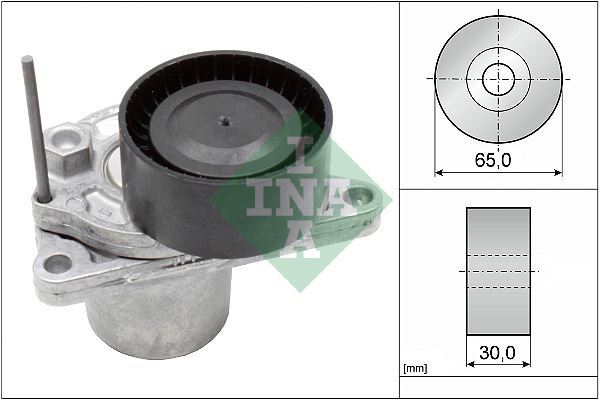 Ina 534062410 Alternatör Gergi Rulmanı (Kütüklü) Megane Iıı-Scenı