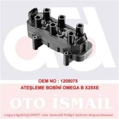 Bosch 221503017 Ateşleme Bobini Omega B 94-