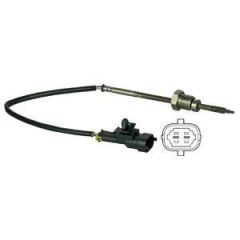 Delphi Ts30032 Egsoz Sıcaklık Sensöru Bmw 1(E87)5 (E60)Antara 10-
