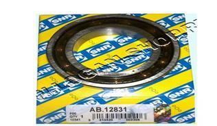 Snr Ab12831 Snr Dıfransıyel Rulmanı R9 Küçük