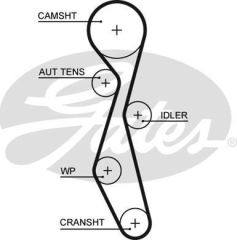 Triger Eksantrik Kayışı 407 508 / C5 C6 / Mondeo Iv 2.2 Hdı 2.2 T