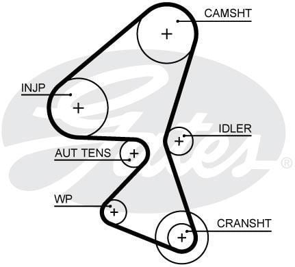 Gates 5656Xs Triger Eksantrik Kayışı 207 308 3008 / C3 Berlıngo /