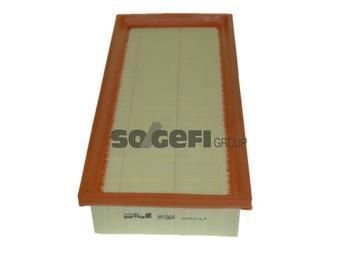 Purflux A1566 Hava Filtresi 407 / C5 Dw10Bted4 2.0Hdı 16V