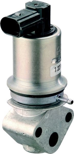 Delphi Eg10293-12B1 Egr Valfi Polo Cordoba Fabia 2001 Sonrası Azq Bme 1.2