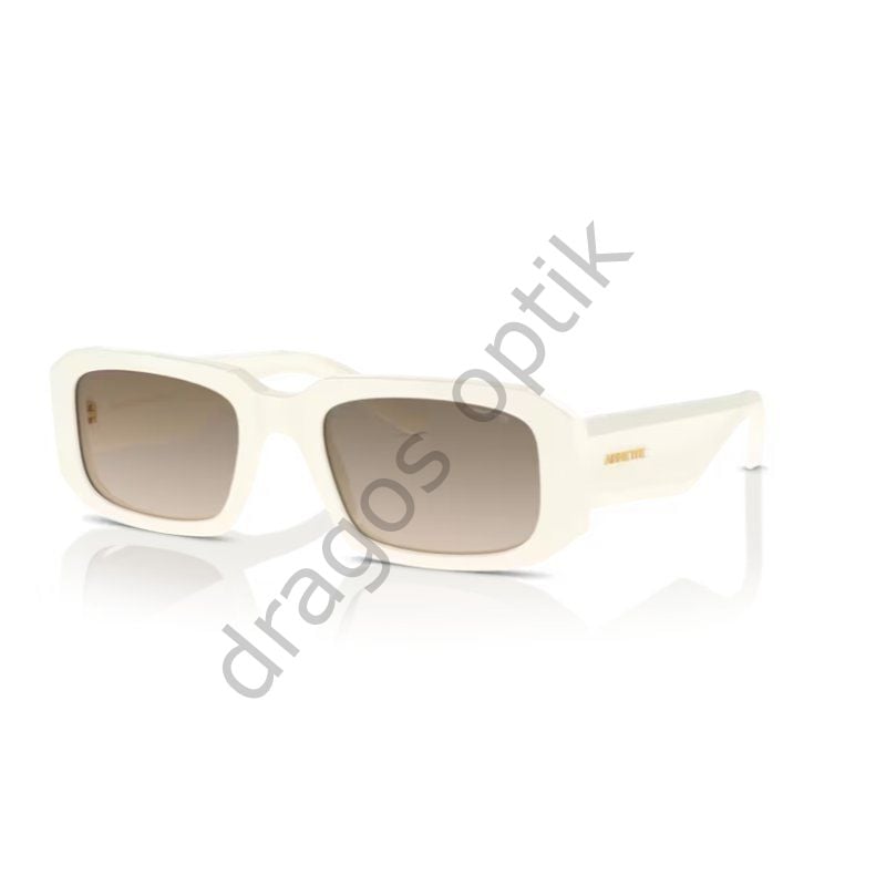 ARNETTE AN4318 124513 53 GÜNEŞ GÖZLÜĞÜ