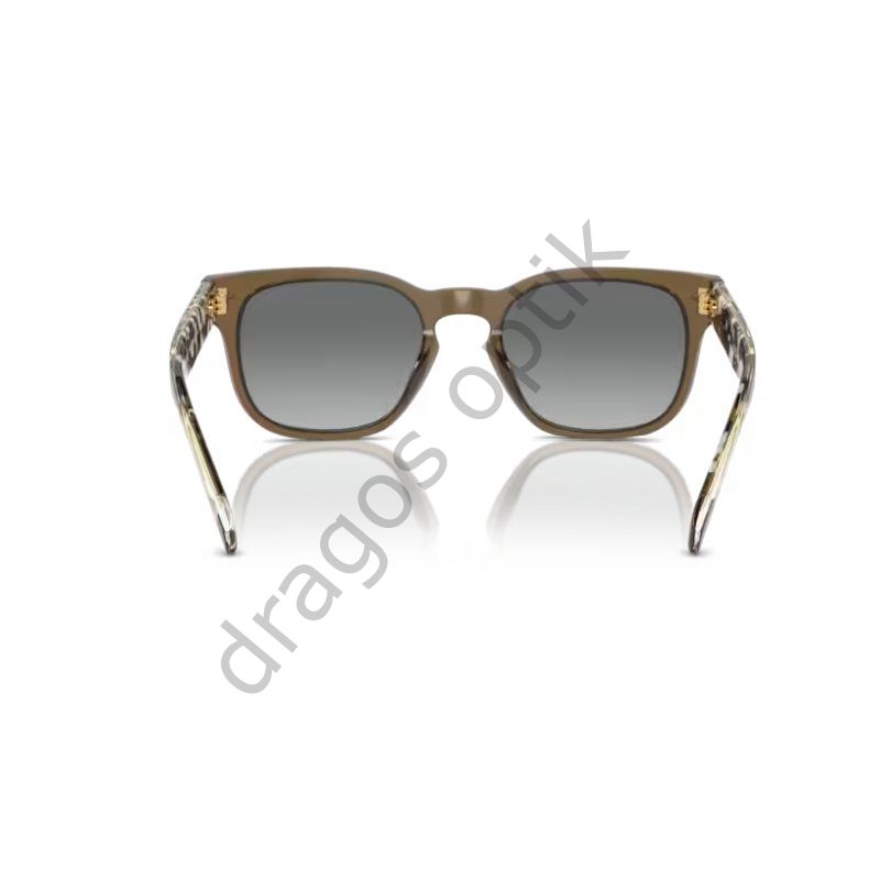 VOGUE VO5571S 314411 53 GÜNEŞ GÖZLÜĞÜ