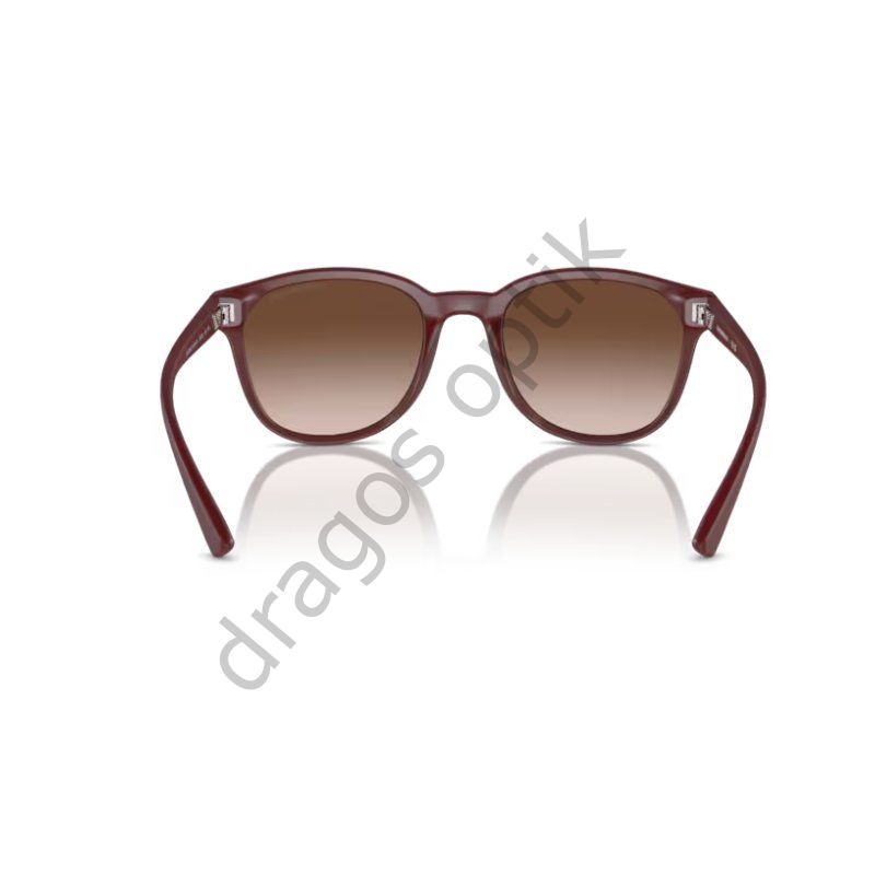EMPORİO ARMANİ EA4225U 610113 53 GÜNEŞ GÖZLÜĞÜ