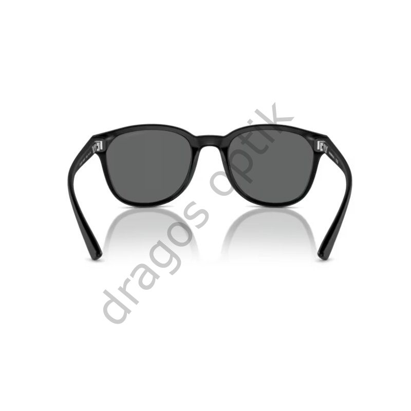 EMPORİO ARMANİ EA4225U 500187 53 GÜNEŞ GÖZLÜĞÜ