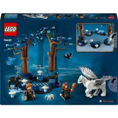 Lego Harry Potter Yasak Orman: Sihirli Yaratıklar 76432