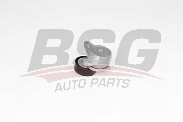 Volkswagen Golf 2011-2017 Arası 2.0 TDI, 1.6 TDI, 2.0 TDI 4motion, 1.6 TDI 4motion BSG Marka Vantilatör Kayış Gergi Rulmanı