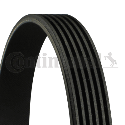 Fiat Brava 1995-2003 Arası 1.4, 1.4 12 V, 1.8 GT 16V Continental Marka Vantilatör Kayışı