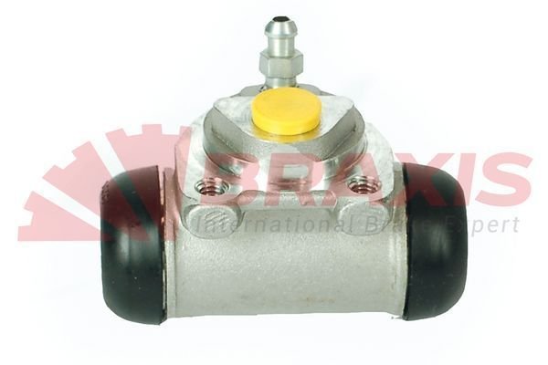 Renault Kangoo 1997-2001 Arası 1.6 16V bivalent, D 65 1.9, 1.4, 1.2, D 55 1.9, 1.5 dCi Braxis Marka Sağ-Sol Uyumlu Fren Silindiri