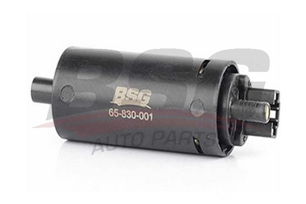 Opel Vectra 1988-1995 Arası 2.5 V6, 2.0 i, 2.0 i GT, 2.0 i 4x4, 2.0 i 16V, 2.0, 2000 16V 4x4 BSG Marka Depo Şamandırası