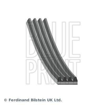 Ford Fiesta 1989-1997 Arası 1.3 Cat, 1.3 Blueprint Marka Vantilatör Kayışı