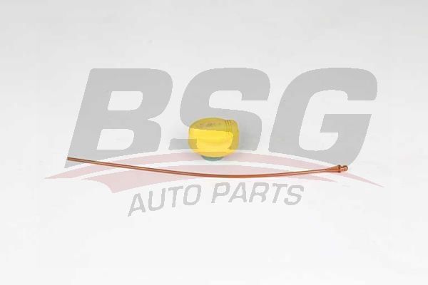 Renault Kangoo 1997-2001 Arası 1.9 dTi BSG Marka Motor Yağ Çubuğu