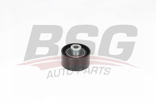 Peugeot 406 1995-2005 Arası 2.0 HDi 110, 2.0 HDI 110 BSG Marka Triger Gergi Rulmanı