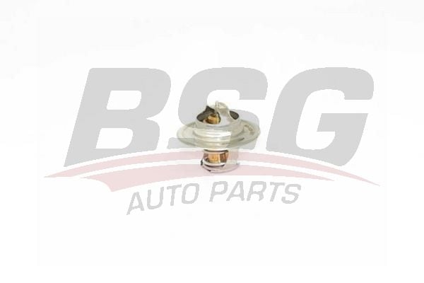 Volkswagen Golf 1989-2014 Arası 2.8 VR6, 1.8, 2.0, 1.6 BiFuel, 1.6 MultiFuel BSG Marka Termostat