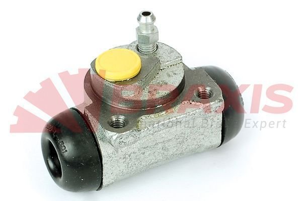 Renault 21 1986-1997 Arası 1.7, 2.1 D, 2.0, 2.1 Turbo-D Braxis Marka Sol Fren Silindiri