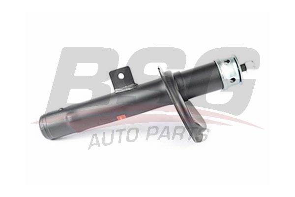 Peugeot 206 1998-2012 Arası 2.0 HDI 90 Ön Sağ BSG Marka Amortisör
