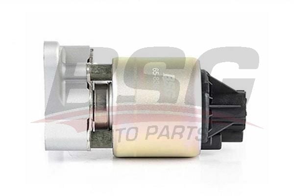 Opel Vectra 1988-1995 Arası 1.6 i BSG Marka EGR Valfi