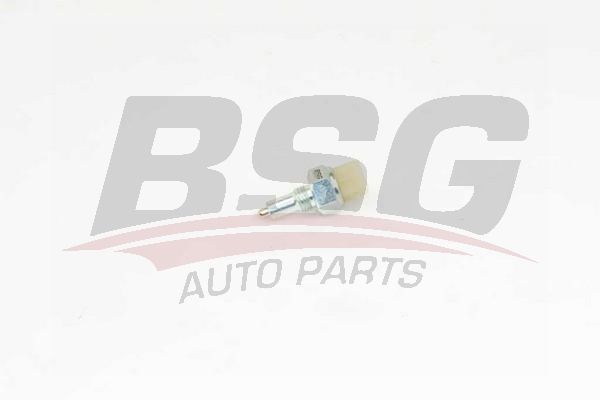 Citroen Ax 1986-1998 Arası 10 E BSG Marka Geri Vites Müşürü