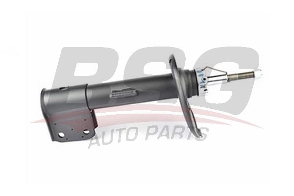 Peugeot 206 1998-2012 Arası 2.0 HDI 90 Ön Sağ BSG Marka Amortisör