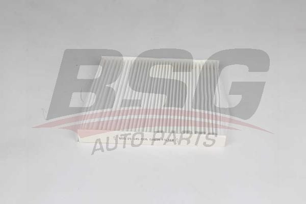 3 Arası 0.9 BSG Marka Polen Filtresi