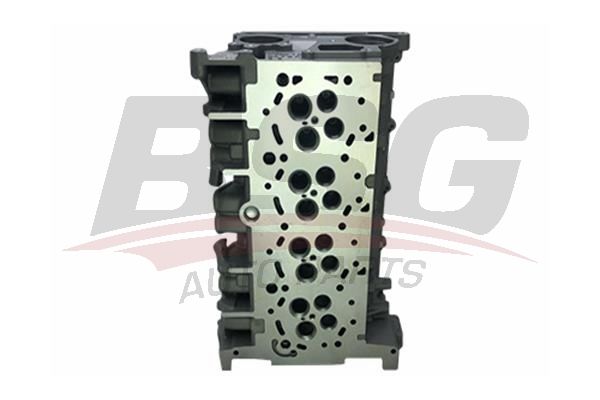 Ford Transit Tourneo 2006-2014 Arası 2.2 TDCi BSG Marka Silindir Kapağı