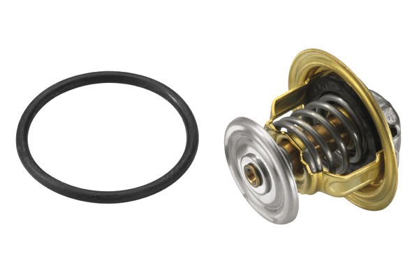 Audi A3 2003-2015 Arası 1.9 TDI BorgWarner (Wahler) Marka Termostat