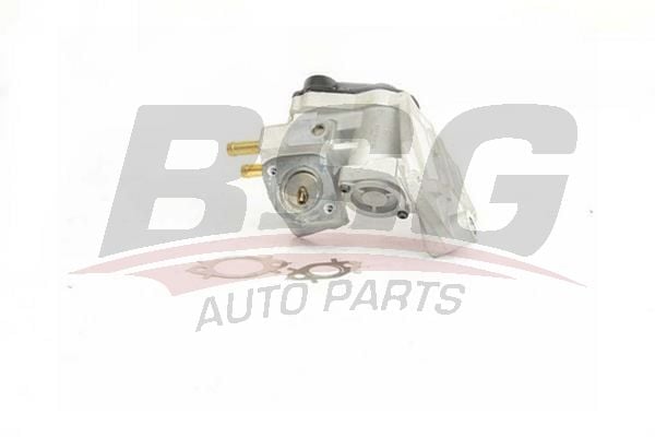 Volkswagen Golf 2003-2013 Arası 2.0 FSI, 2.0 FSI 4motion BSG Marka EGR Valfi