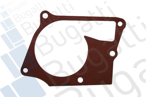Renault Modus 2004-2008 Arası 1.5 dCi 75, 1.5 dCi 90 Bugatti Marka Devirdaim Su Pompası