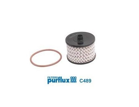 Mazot Filtresi Scudo 2007-2015 2.0 mjt 07> Purflux PUR-C489