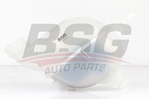 Citroen C3 2002-2006 Arası 1.4 HDi, 1.1 i, 1.6 16V, 1.4 16V BSG Marka Radyatör Yedek Su Deposu