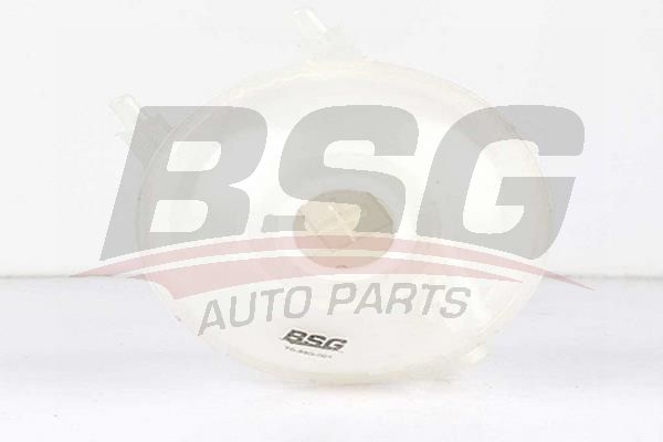 Citroen C3 2002-2006 Arası 1.4 HDi, 1.1 i, 1.6 16V BSG Marka Radyatör Yedek Su Deposu