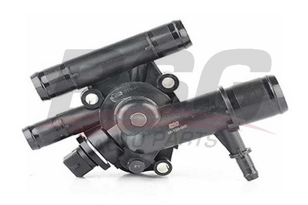 Renault Scenic 1999-2010 Arası 2.0 16V RX4, 1.9 dTi BSG Marka Termostat