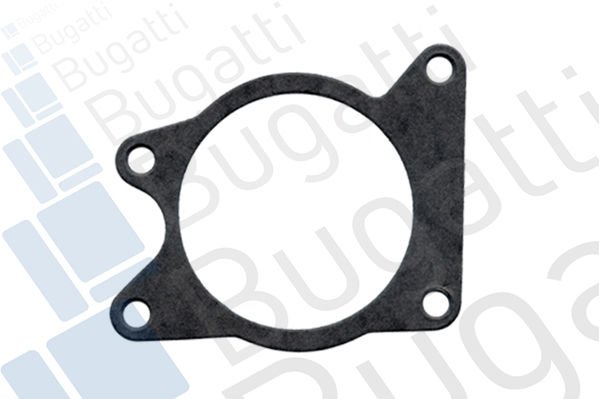 Ford Fiesta 1983-1989 Arası 1.3, 1.6 XR2 Bugatti Marka Devirdaim Su Pompası