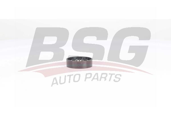 Alfa Romeo 146 1994-2001 Arası 1.9 JTD BSG Marka Vantilatör Kayış Gergi Rulmanı