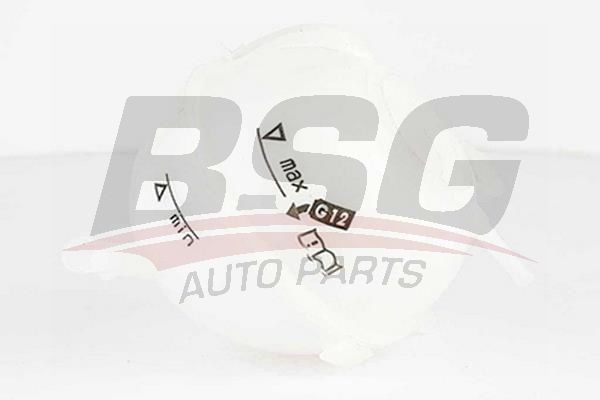 Seat Ibiza 2002-2018 Arası 1.2, 1.6 LPG, 1.2 TDI BSG Marka Radyatör Yedek Su Deposu