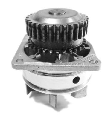 Renault Espace 2002-2006 Arası 3.5 V6 Aisin Marka Devirdaim Su Pompası