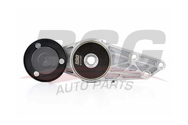 Seat Alhambra 1996-2010 Arası 1.9 TDI BSG Marka Vantilatör Kayış Gergi Rulmanı