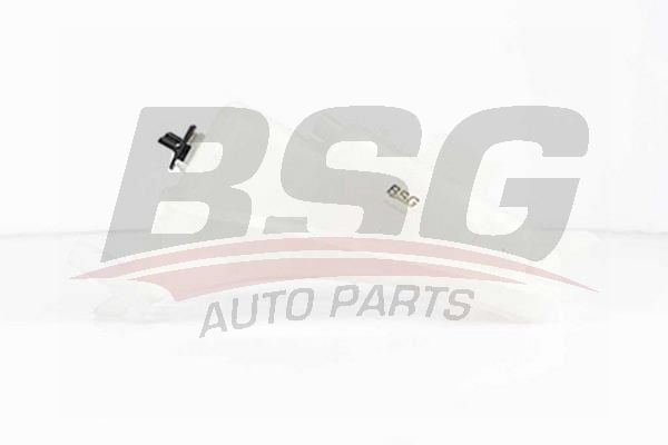 Citroen Xsara 1999-2012 Arası 1.6 HDi BSG Marka Radyatör Yedek Su Deposu