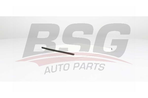Renault Vel Satis 2002-2006 Arası 2.2 dCi BSG Marka Polen Filtresi